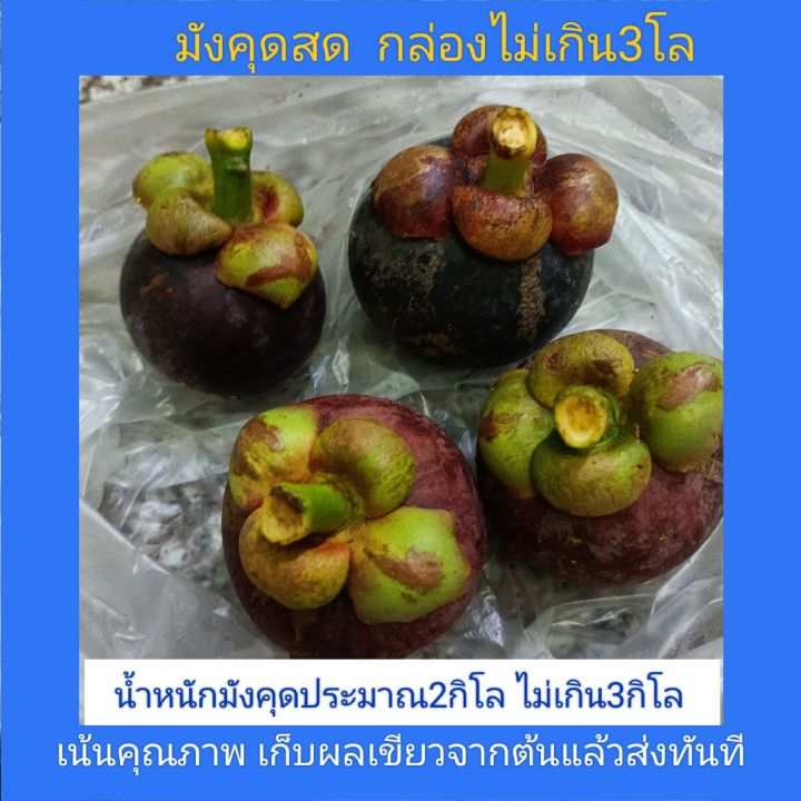 มังคุด-ขายเป็นกล่องน้ำหนักประมาณ2ก-ก-ไม่เกิน3ก-ก-เน้นคุณภาพ-เก็บผลเขียว