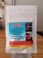 คอดอก​(CANKER)​
