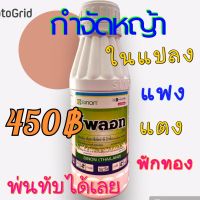 ไพลอท กำจัดหญ้าในแปลงผัก ไม่กระทบพืช 500cc