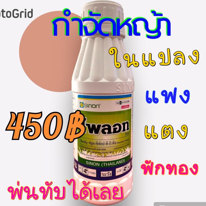 ไพลอท-กำจัดหญ้าในแปลงผัก-ไม่กระทบพืช-500cc