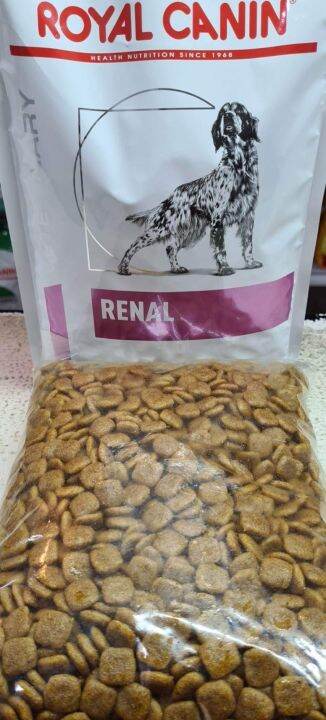 canin renal dog food