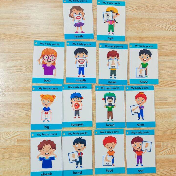 Parts of the body kids educational flashcards laminated | Lazada PH