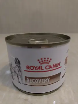 Buy Royal Canin Dog Food Recovery online
