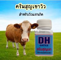 ครีมสูญเขา DH ครีมทาเขาวัว สำหรับสูญเขาวัวแรกเกิด