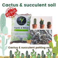 ดินปลูก cactus succulent premium soil