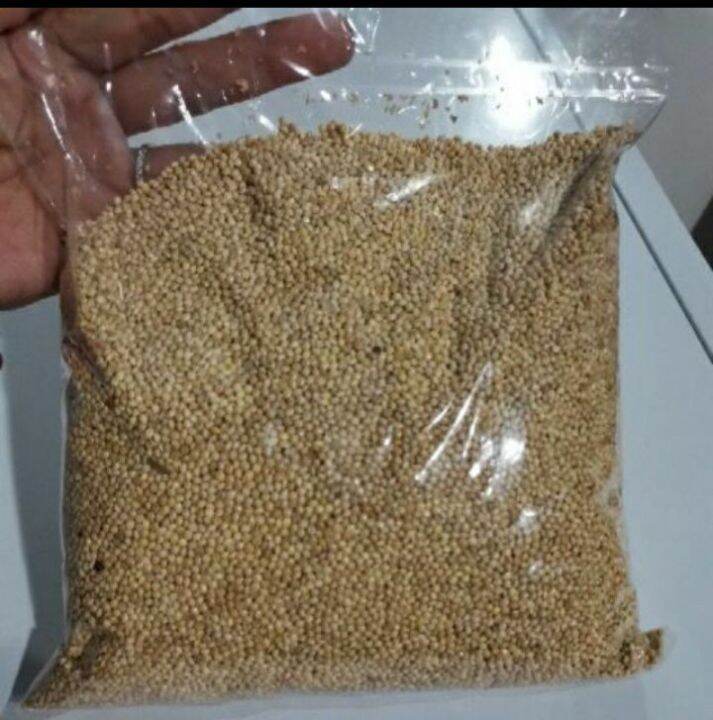Bird feeding white millet Seeds 1kg Lazada PH