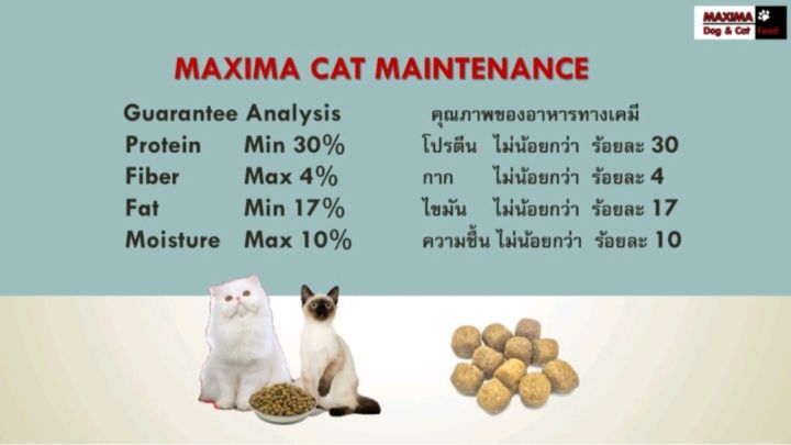 maxima-cat-3กก