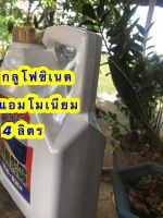 กลูโฟซิเนต-แอมโมเนียม