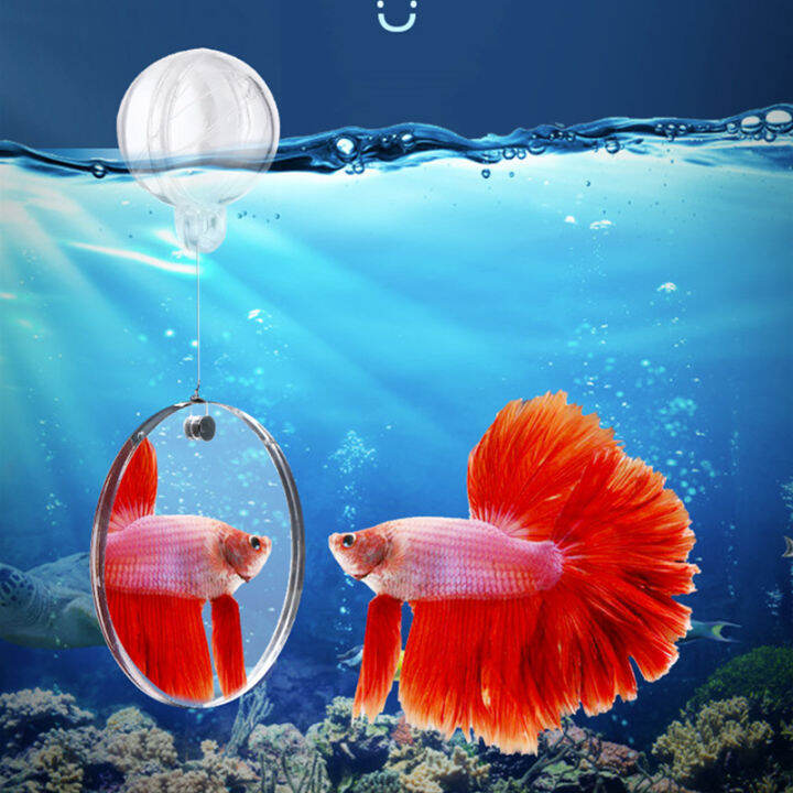 Aquarium Betta Training Mirror Acrylic Hangon Floating Mirror For Fish