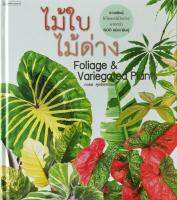 ไม้ใบไม้ด่าง Foliage &amp; Variegated Plants