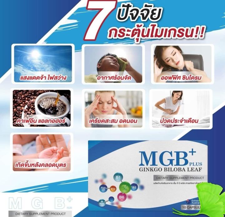 mgb-plus-นอนกรน-gmb-plus-ปวดหัวไมเกรน-วิตามินไมเกรน-ปวดไมเกรน-นอนกรน-วิตามินบำรุง-หูอื้อ