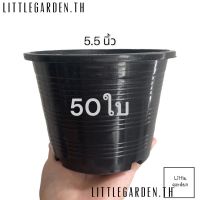 Little กระถางแคคตัส 5 นิ้ว  50ใบ