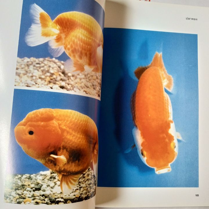 ปลาทอง-สายพันธุ์และการเพาะเลี้ยงเชิงธุรกิจ-ฉบับสมบูรณ์-เรียบเรียงโดย-ธนากร-ฤทธิ์ไธสง-192-หน้า