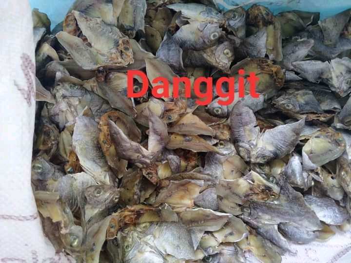 Dried Fish (Buwad) from Cebu Lazada PH