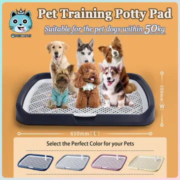 Extra large best sale dog potty tray