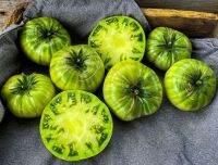 เมล็ดพันธุ์มะเขือเทศเนื้อ ไจแอนท์ กรีน (Giant Green Tomato Seed) บรรจุ 15 เมล็ด ของแท้ คุณภาพดี ราคาถูก นำเข้าจากต่างประเทศ