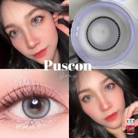 Puscon  gray รุ่นสีเทาลายชัด สีคม จึ้งมาก