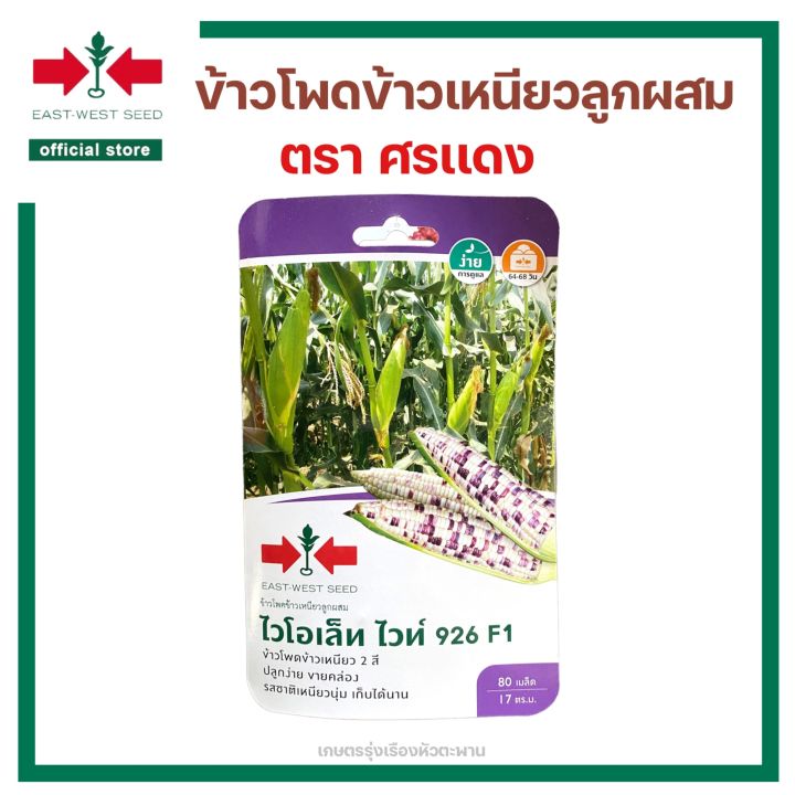 เมล็ดพันธุ์ข้าวโพด-ไวโอเล็ท-ไวท์-926-f1-ตราศรเเดง-east-west-seed-เมล็ดพันธุ์-ผักสวนครัว-ตราศรแดง