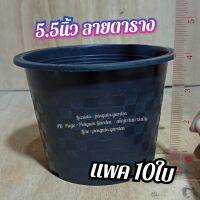 กระถางพลาสติกดำกลม 5.5 นิ้ว แพค10ใบ (ส่งจากกรุงเทพ)  กระถางกระบองเพชร กระถางแคตตัส กระถาง  กระถางลายตาราง