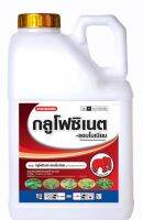 ?ช้าง กลูโฟซิเนต-แอมโมเนียม (glufosinate-ammonium) ยากำจัดวัชพืชแบบเผาไหม้ ใช้แทนพาราควลตไดคลอไรต์ กรัมม็อกโซน 4 ลิตร