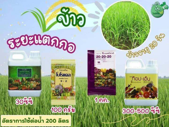 กิฟฟารีน-ปุ๋ยเกล็ด-ครบสูตรสำหรับนาข้าว-ทุกระยะ