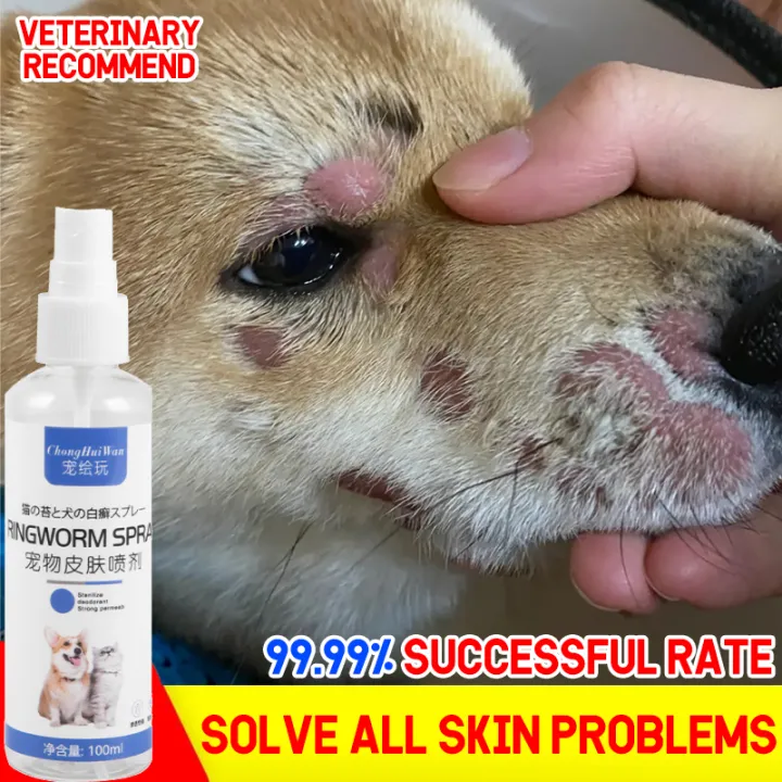 🐶Veterinary skin disease treatment Spray 100ml Non