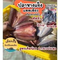 ปลาหางแข็งแดดเดียว/ปลาแข้งไก่/ปลาจีรงแดดเดียว/ปลาแดดเดียวจากชาวประมง