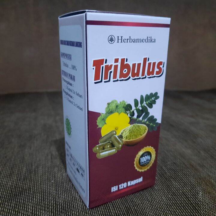 Tribulus Herbamedika Kapsul Lazada Indonesia