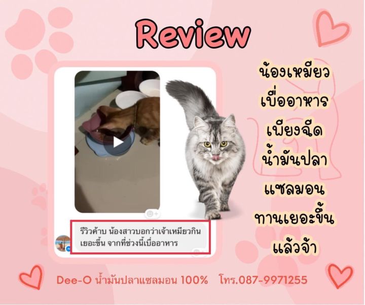 น้ำมันปลาเชลม่อน-สัตว์เลี้ยงเบื่ออาหาร-บำรุงขนสวย-สิ้นค้าลงใหม่มีของพร้อมส่ง