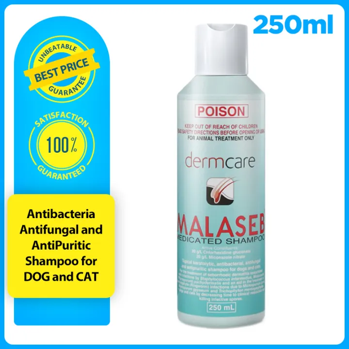 Malaseb medicated Shampoo 250ml for Dogs and Cats Lazada PH