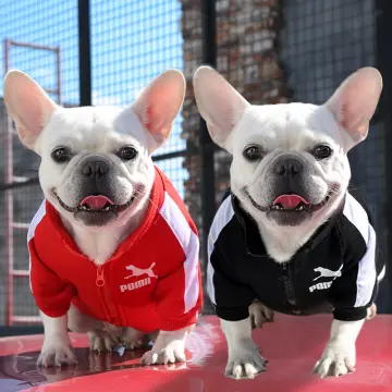 1pc Breathable Summer Pet Vest Basketball Jersey Puppy French Bulldog Cats  Vest Fashion Pet Dog Cats Clothes Dogs Costume