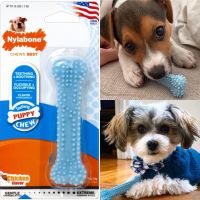 Nylabone Teething Puppy Chew ของเล่นขัดฟัน