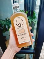 Kombucha tea มีประโยชน์หลากหลาย ปริมาณ 280ml