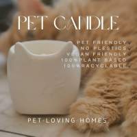 Pet Candle Bkk เทียนหอมไขถั่วเหลืองไม่เป็นอันตรายกับสัตว์ สำหรับผู้เลี้ยงสัตว์โดยเฉพาะ แบรนด์ วิฬาร์ (Vila)