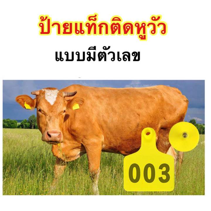 ป้ายหูวัว-เบอร์หูวัว-แบบมีเลข-เบอร์หูทำประวัติสำหรับสัตว์-วัสดุpu-อย่างดี-100-ป้าย