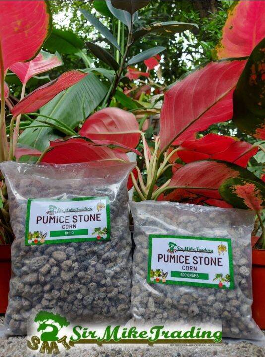 Pumice Stone Corn Size 500 grams and 1 kilo Lazada PH