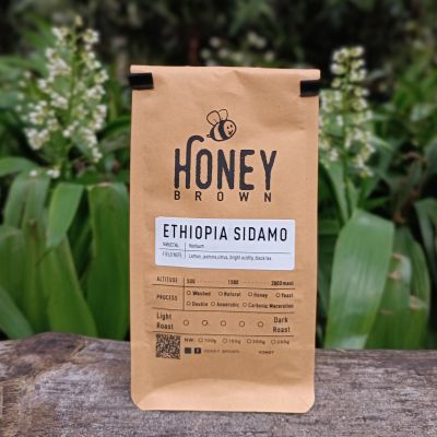 HONEY BROWN เมล็ดกาแฟคั่ว Ethiopia Sidamo - เอธิโอเปีย ซิดาโม คั่วอ่อน / คั่วกลาง