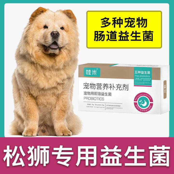 Chow Chow Dedicated Probiotic Powder to Puppy Dog Pet Ready-to-Use ...