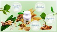 ผงกระชายขาวแคปซูล Finger Root Powder Capsules