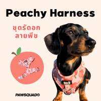 PAWSQUAD Peachy Harness | ชุดรัดอก สายรัดอก สุนัข ชุดแมว