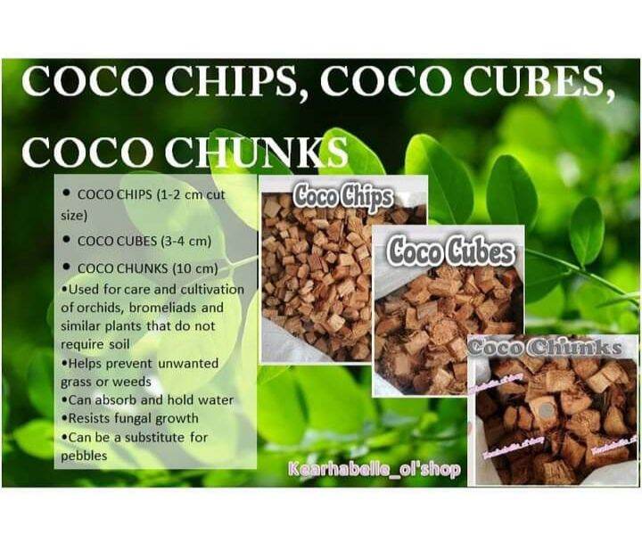 Coco Chips / Coco Cubes for plants Lazada PH