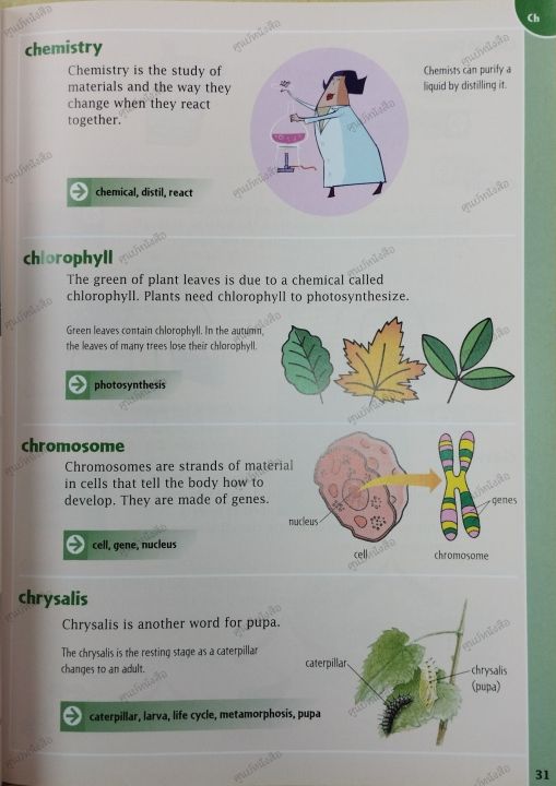 หนังสือ-oxford-primary-illustrated-science-dictionary-9780192733559-oxford