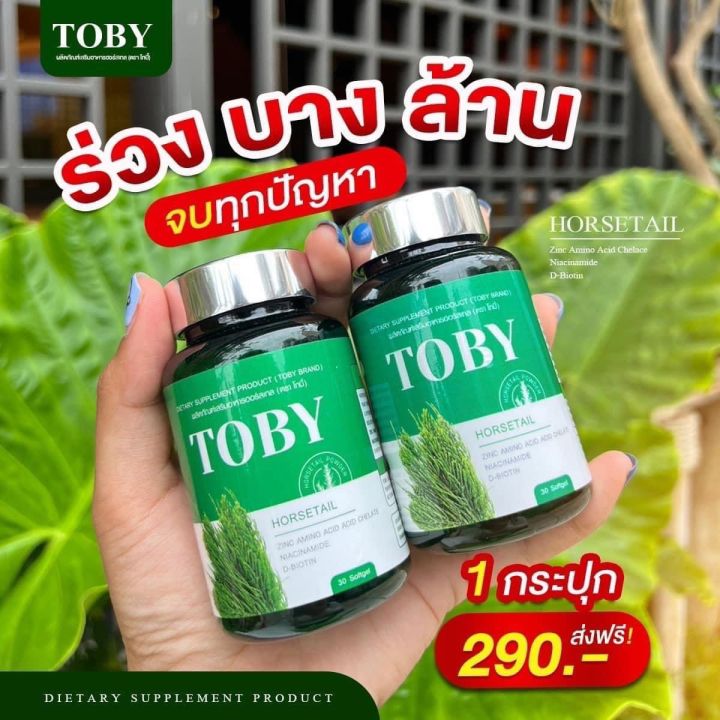 toby-หญ้าหางม้า-วิตามินคนผมร่วง-ผมบาง-ฟื้นฟูบำรุงรากผมให้แข็งแรง-ลดอาการคันหนังศ