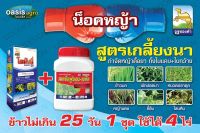 น็อคหญ้า สูตรเกลี้ยงนา หญ้าฆ่าหญ้าในนาข้าว ข้าวไม่เกิน 25 วัน 1ชุด ใช้ได้ 4 ไร่