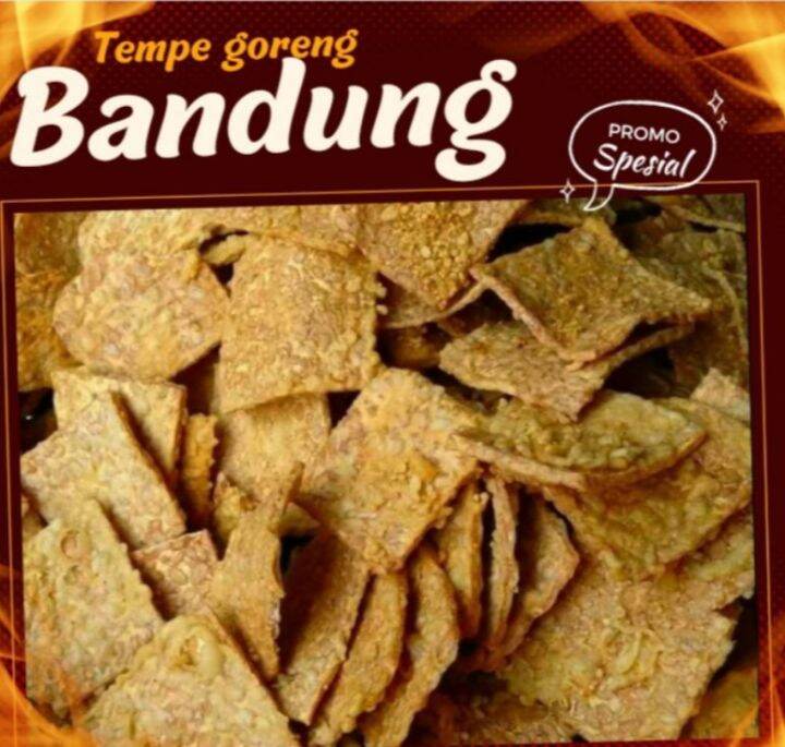Keripik tempe goreng khas Bandung 1KG Lazada Indonesia