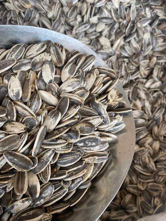 Sunflower SeedsJumbo (1 Kilo) Lazada PH