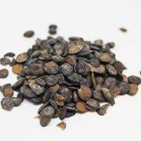 Dried Locust Beans / Daddawa / Iru/ Ogiri/Dawa dawa  100g