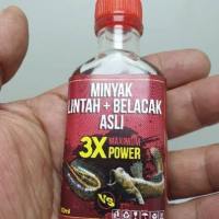 Lintah+Belacak