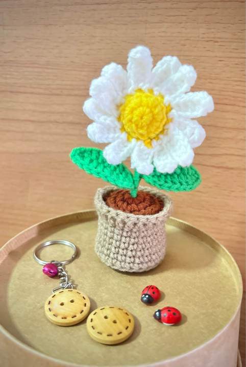 กระถางดอกไม้โครเชต์-ดอกไม้ถักโครเชต์เย็บติดทั้งดอก-ไม่ใช้กาวติด-crochet-mini-flower