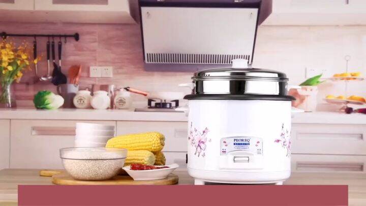 mini rice cooker online